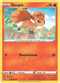 Carte Goupix 22/202 – Épée et Bouclier