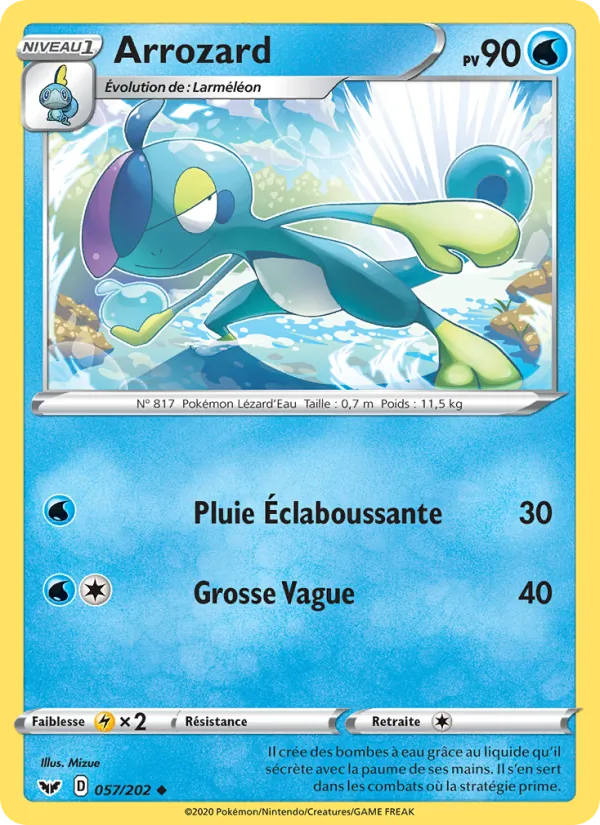 Carte Arrozard 57/202 – Épée et Bouclier