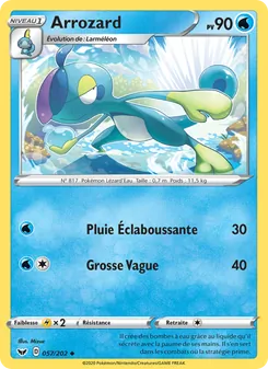 Carte Arrozard 57/202 – Épée et Bouclier