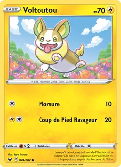 Carte Voltoutou 74/202 – Épée et Bouclier