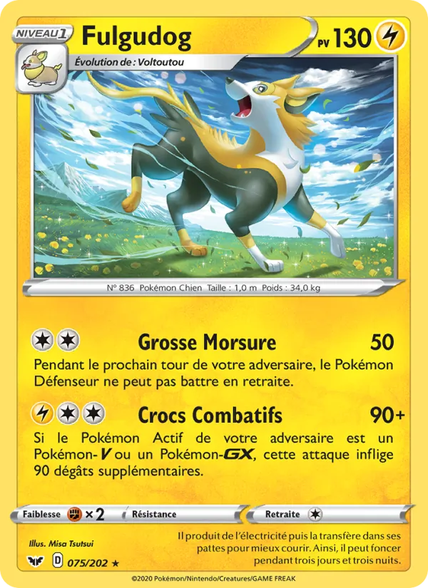 Carte Fulgudog 75/202 – Épée et Bouclier