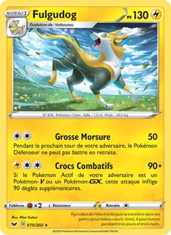 Carte Fulgudog 75/202 – Épée et Bouclier