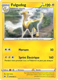 Carte Fulgudog 76/202 – Épée et Bouclier