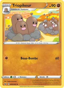 Carte Triopikeur 93/202 – Épée et Bouclier