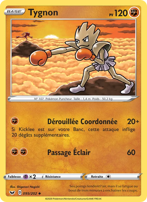 Carte Tygnon 95/202 – Épée et Bouclier