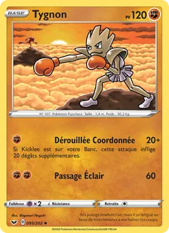 Carte Tygnon 95/202 – Épée et Bouclier