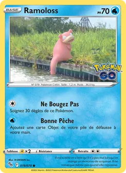 Carte Ramoloss 019/078 – Pokémon GO