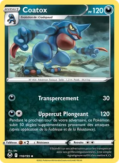 Carte Coatox 110/195 – Tempête Argentée