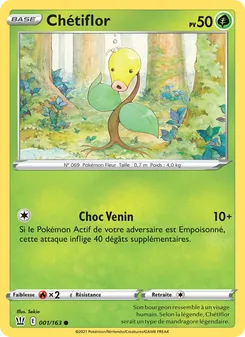 Carte Chétiflor 1/163 – Styles de combat