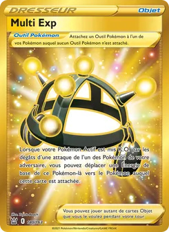 Carte Multi Exp 180/163 – Styles de combat