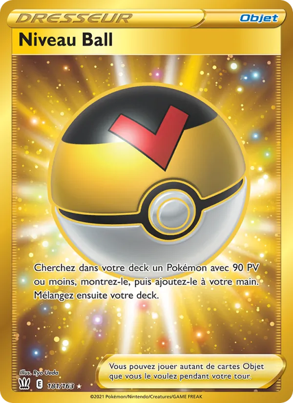 Carte Niveau Ball 181/163 – Styles de Combat