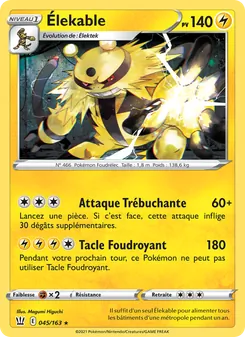 Carte Élekable 45/163 – Styles de combat