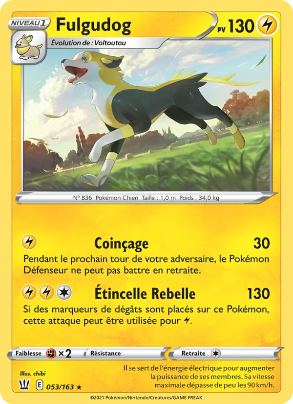 Carte Fulgudog 53/163 – Styles de Combat