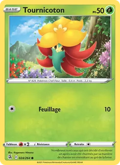 Carte Tournicoton 24/264 – Poing de Fusion