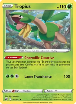 Carte Tropius 005/172 – Stars Étincelantes