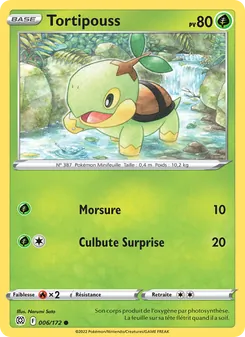 Carte Tortipouss 006/172 – Stars Étincelantes