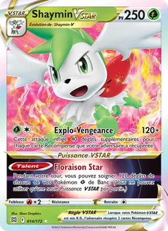 Carte Shaymin VSTAR 014/172 – Stars Étincelantes