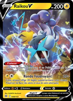 Carte Raikou V 048/172 – Stars Étincelantes