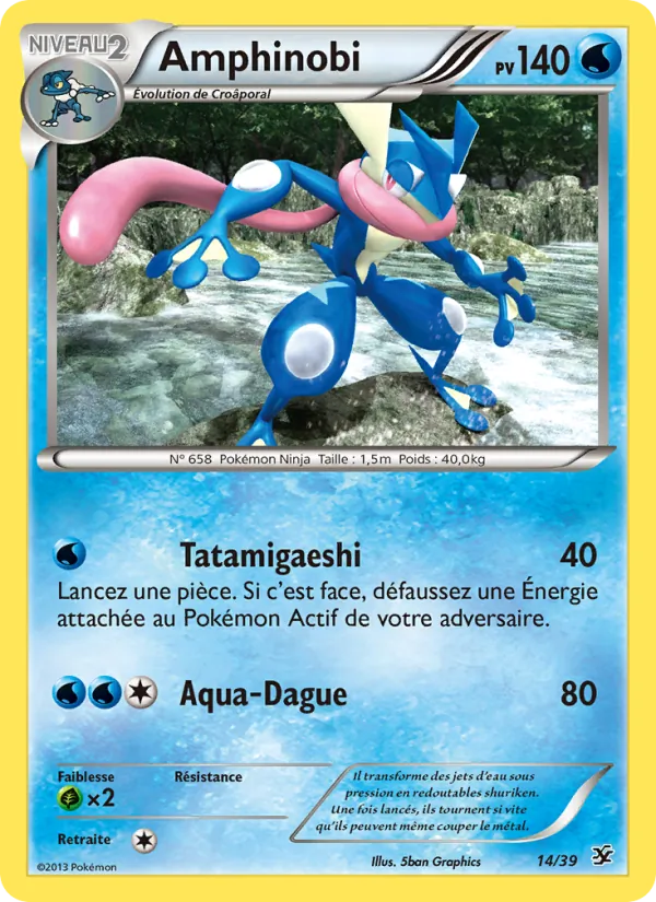 Carte Amphinobi 14/39 – Bienvenue à Kalos