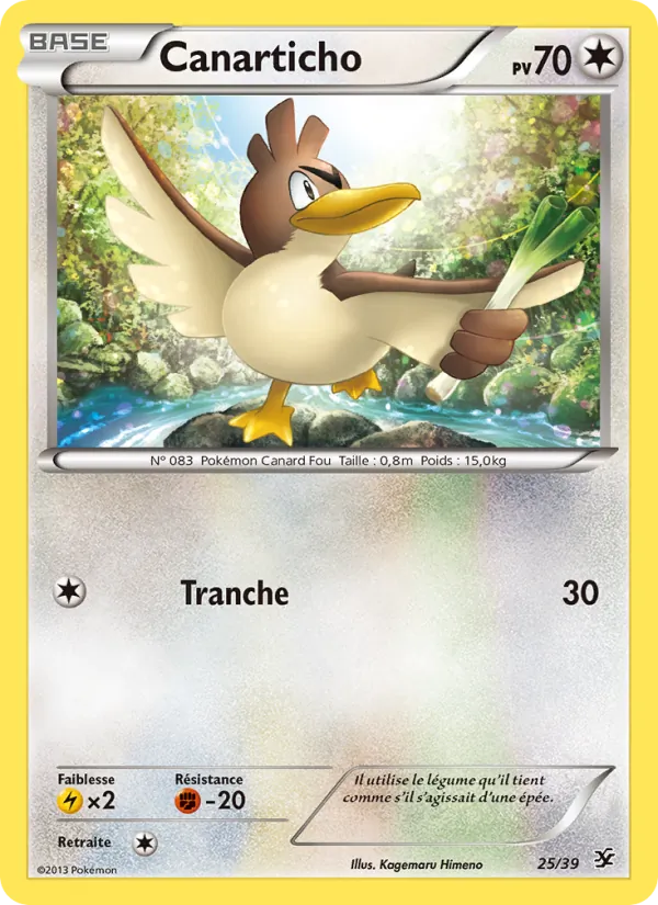 Carte Canarticho 25/39 – Bienvenue à Kalos