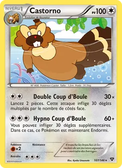 Carte Castorno 107/146 – XY
