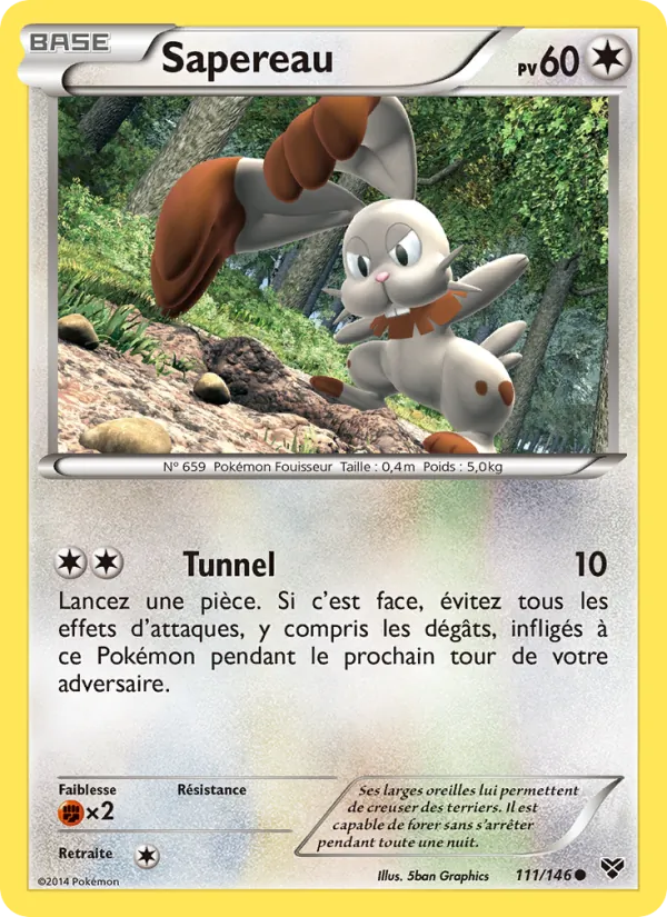 Carte Sapereau 111/146 – XY