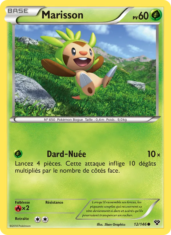 Carte Marisson 12/146 – XY