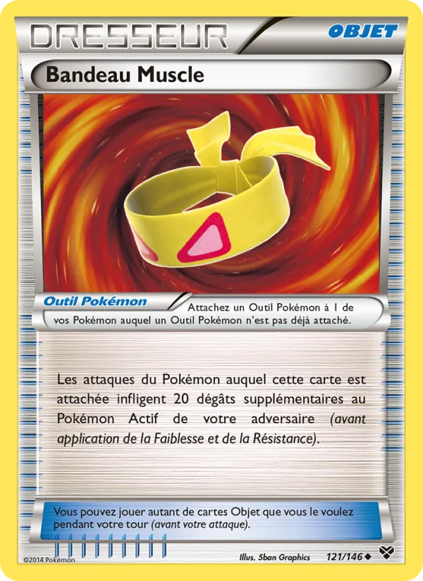 Carte Bandeau Muscle 121/146 – XY
