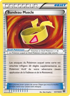 Carte Bandeau Muscle 121/146 – XY