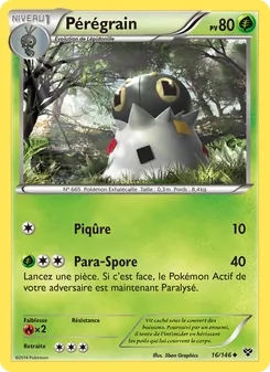 Carte Pérégrain 16/146 – XY