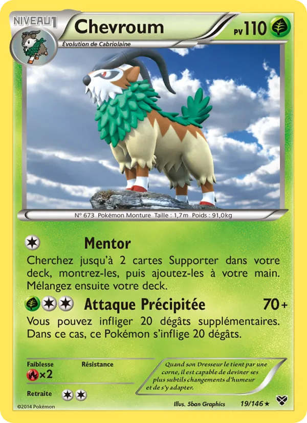 Carte Chevroum 19/146 – XY