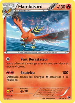 Carte Flambusard 28/146 – XY