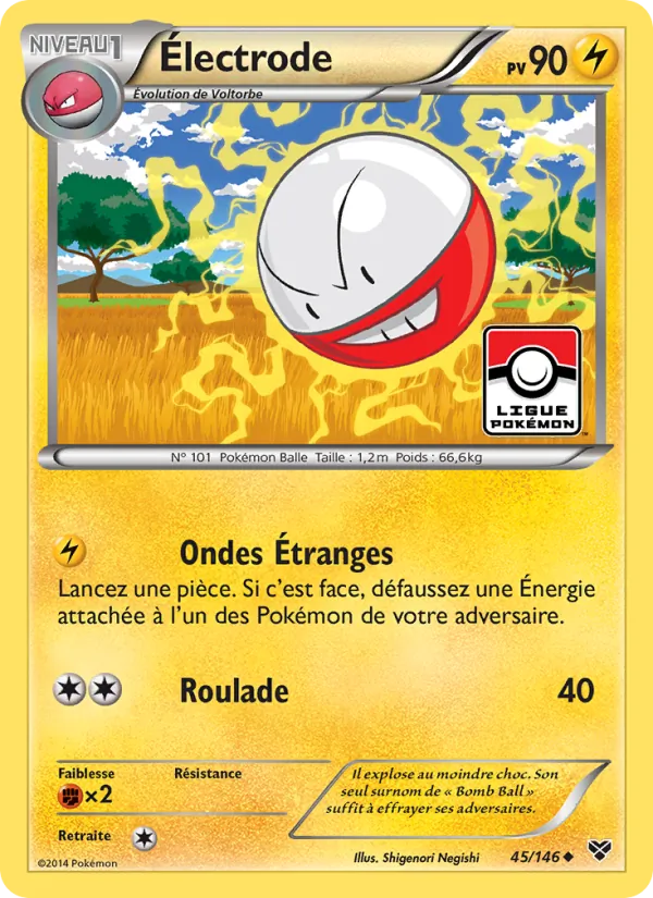 Carte Électrode 45/146 – XY