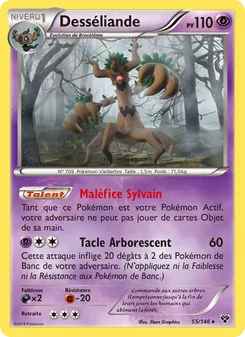 Carte Desséliande 55/146 – XY