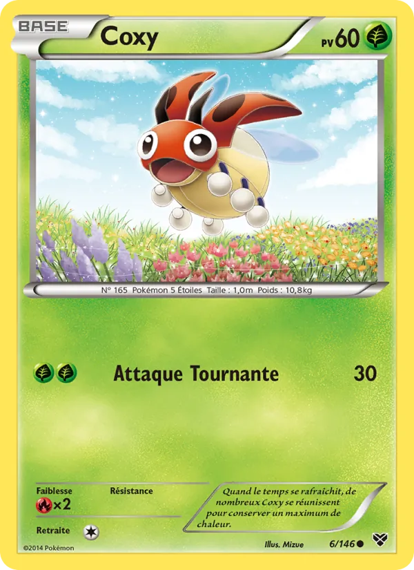 Carte Coxy 6/146 – XY