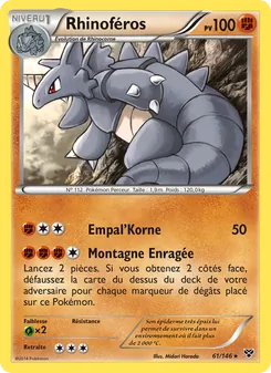 Carte Rhinoféros 61/146 – XY