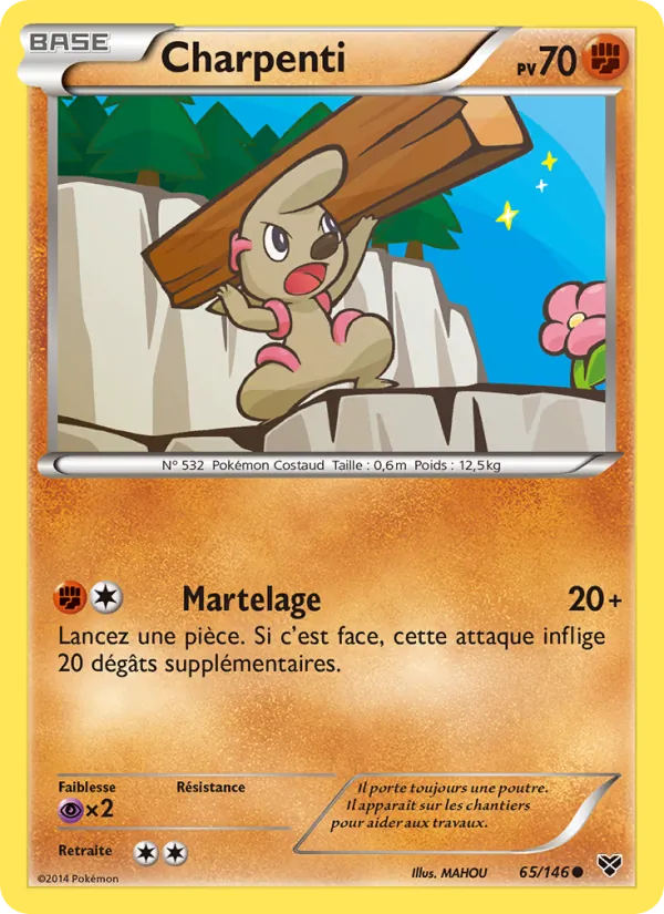 Carte Charpenti 65/146 – XY