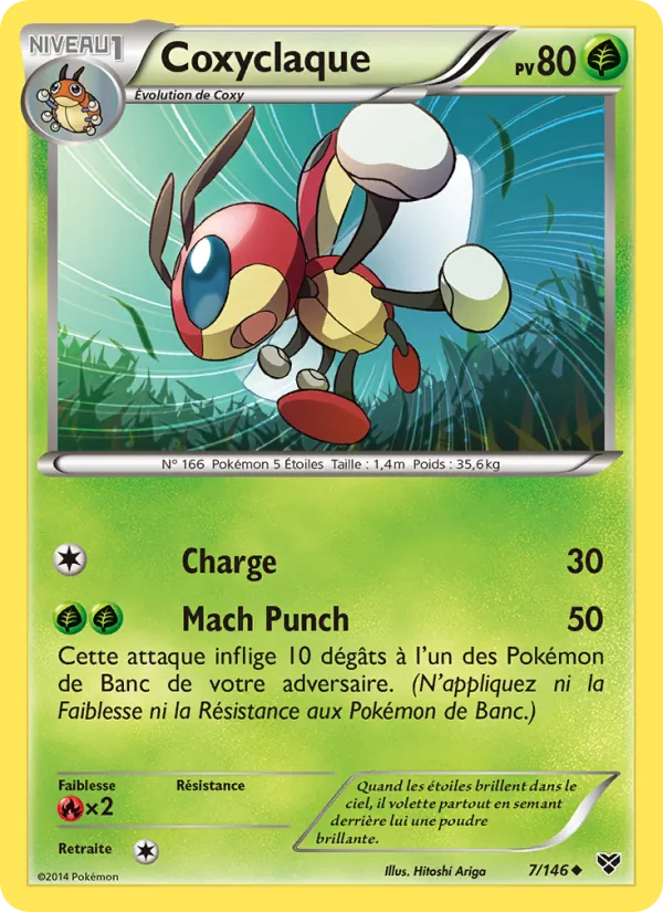 Carte Coxyclaque 7/146 – XY