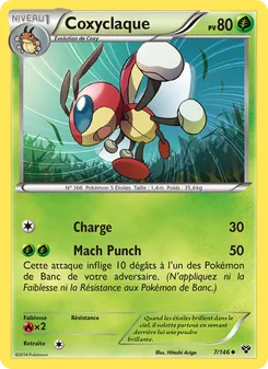 Carte Coxyclaque 7/146 – XY