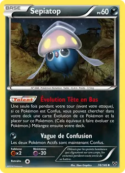 Carte Sepiatop 74/146 – XY