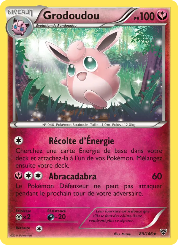Carte Grodoudou 89/146 – XY