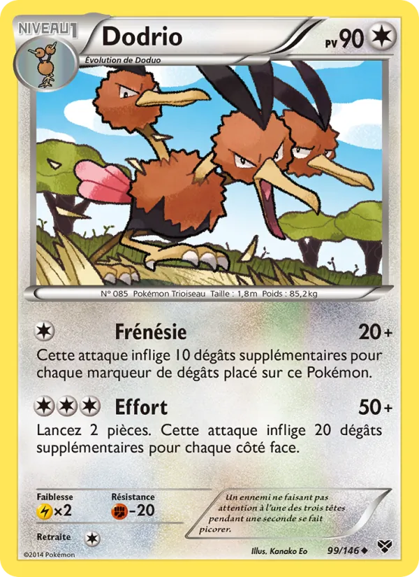 Carte Dodrio 99/146 – XY