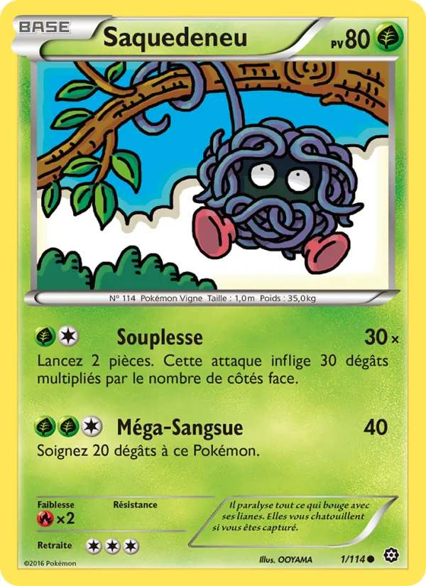 Carte Saquedeneu 1/114 – Offensive Vapeur