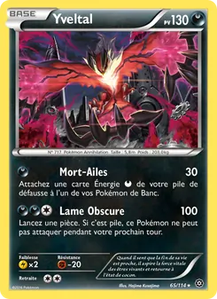 Carte Yveltal 65/114 – Offensive Vapeur