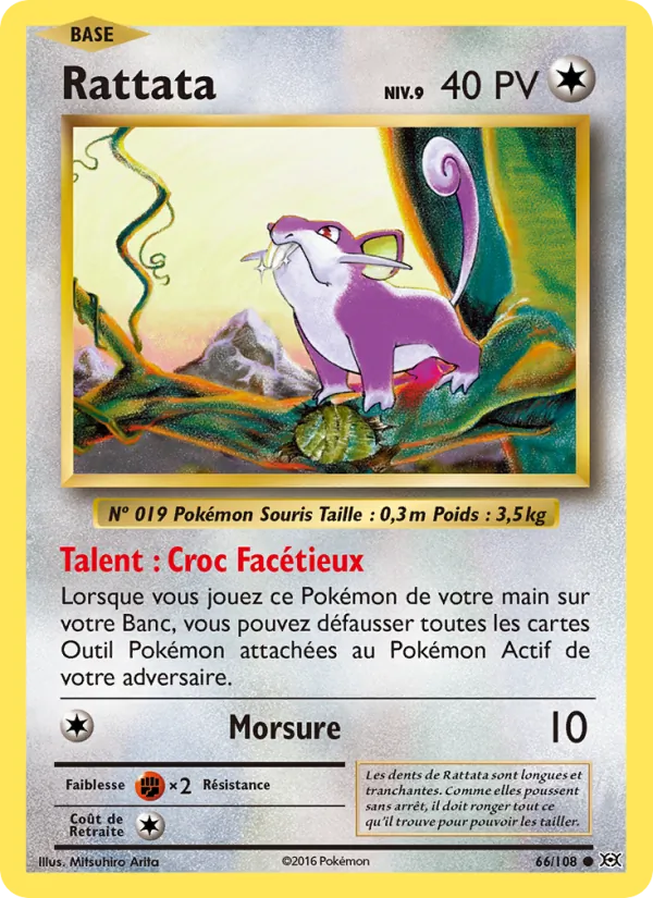 Carte Rattata 66/108 – Évolutions