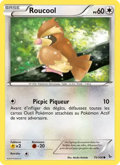 Carte Roucool 75/106 – Étincelles