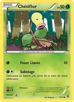 Carte Chétiflor 1/111 – Poings Furieux