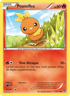 Carte Poussifeu 12/111 – Poings Furieux