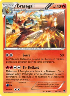Carte Braségali 14/111 – Poings Furieux