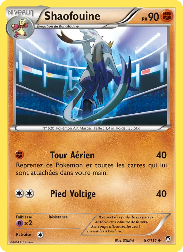 Carte Shaofouine 57/111 – Poings Furieux